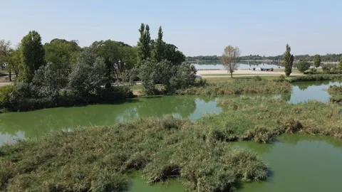 Green trees and a road separating two lakes in town Subotica, Serbia Stock Footage 269540566