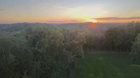 Green Trees and sun rays 库存影片 161593301