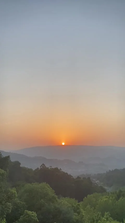 Green trees and sunset behind hill with expansive summer view 🌳🌅 Stock Footage 310964680