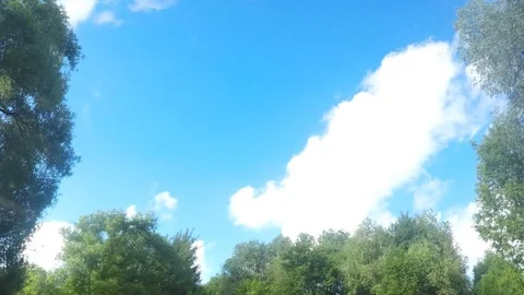 Green Trees And white Clouds Against a Sky Timelapse Stock Footage 82046526