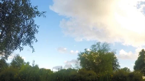 Green Trees And white Clouds Against sunset Sky Timelapse Stockbeeldmateriaal 82053273