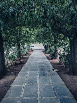 Green trees arch with pathway Stock Photos