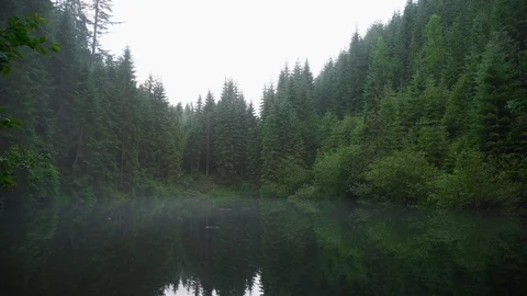 Green trees are reflected in the water of a mountain lake in the fog in the Video stock 93252622