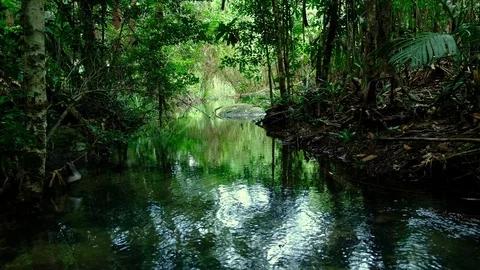 Green trees around the streams represent the abundance of rainforest in Thail Stock Footage 119118834