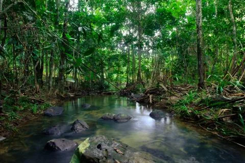 Green trees around the streams represent the abundance of rainforest in Thail Stock Photos