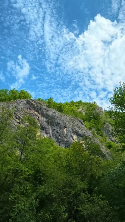 Green trees blanket the steep. Vertical POV, Balkan, Eastern Europe Stockbeeldmateriaal 334680210