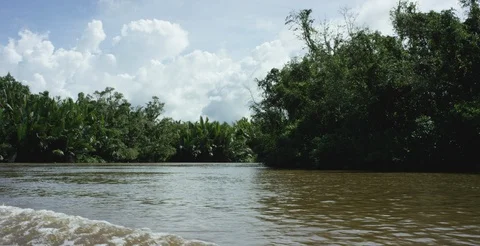 Green trees on both the sides of the river Video stock 85760240