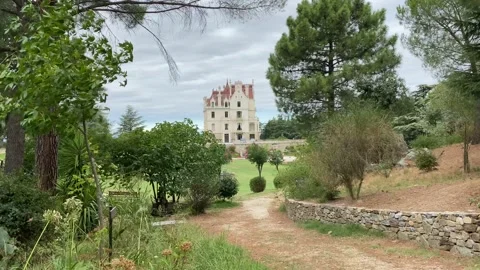 Green Trees In The Castle Grounds, Cloudy Sky, Light Wind - 4K Stock Footage 142824543