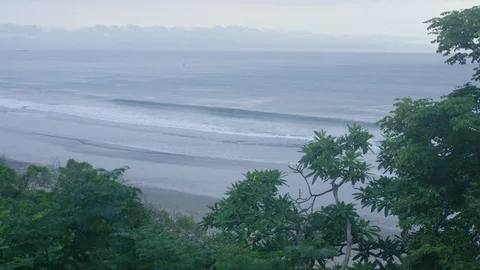 Green trees on the coast over looking a beautiful seascape Stock Footage 111960726