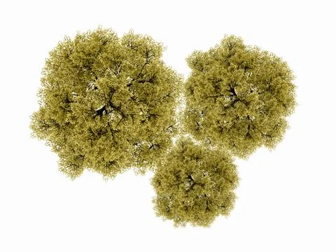 Green trees concept isolated on white background Stock Illustration