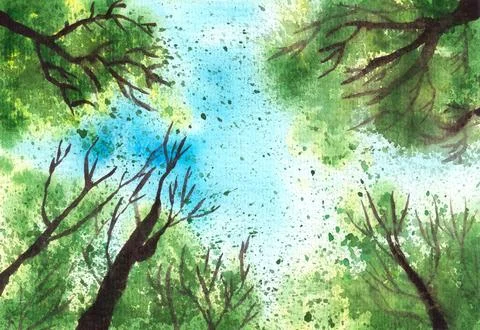 Green trees crowns on blue sky background, view from below. Hand drawn Stock Illustration