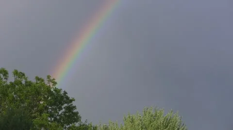 Green Trees at the End of the Rainbow Video stock 11219943