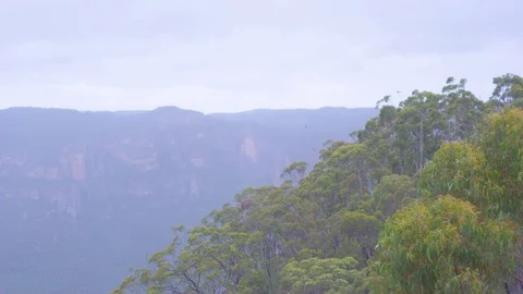 Green trees in forest and mountain on a sunny day Stock Footage 76134854