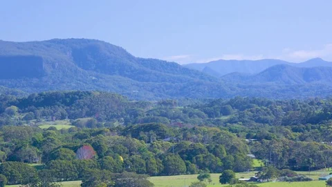 Green trees in forest and mountains on a sunny day Stock Footage 76103055