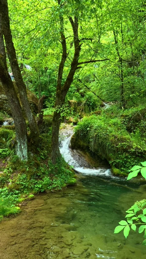 Green trees frame the scene under clear blue sky. Gostilje Waterfall, Serbia. Stock Footage 337069006