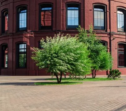 Green trees in front of the part of red brick corporate building with sky Stock Photos