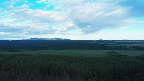 Green trees with green fields Stockbeeldmateriaal 155965949