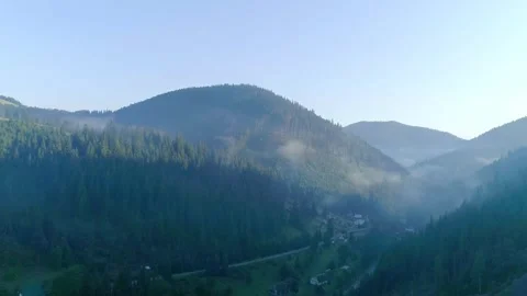 Green trees hill in mountain area, morning fog Stock Footage 319285569