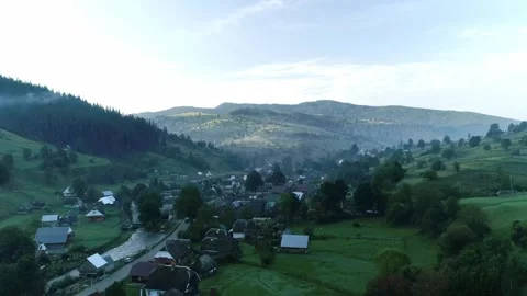 Green trees hill in mountain area, morning fog Stock Footage 319286419
