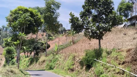 Green trees on hillside slope and rural countryside landscape Stock Footage 346660175