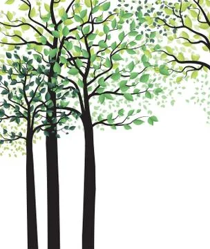 Green trees with leaves Stock Illustration