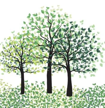 Green trees with leaves Stock Illustration