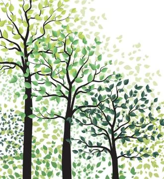 Green trees with leaves Stock Illustration