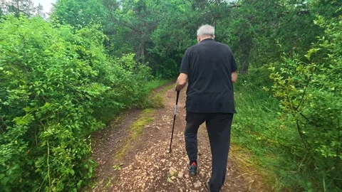Green trees line muddy path ahead. Kozji Kamen area, Serbia 스톡 동영상 341876420