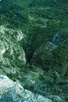 Green Trees on a Mountain Stock Photos