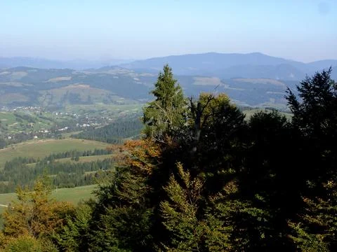Green trees on a mountainside against the background of mountains and sky Stock Photos