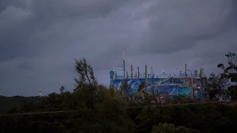 Green trees overlooking graffiti wall Vídeos de archivo 94884482