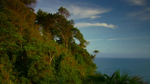 Green trees overlooking sea in background Stock Footage 57814921