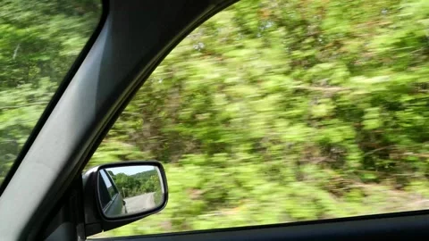 Green trees passing by car window on a sunny day in the countryside Stock-Footage 275556199