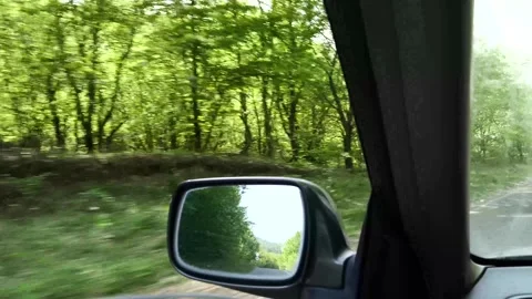 Green trees passing by car window on a sunny day in the countryside Vidéo 275614602