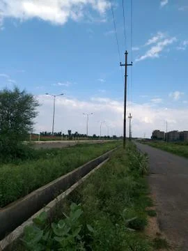 Green trees Stock Photos