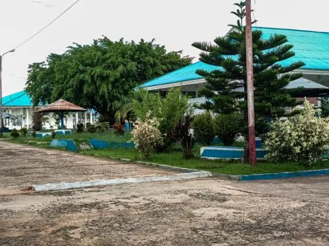 Green trees Stock Photos