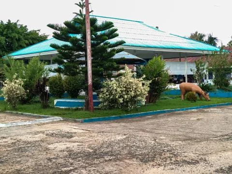 Green trees Stock Photos