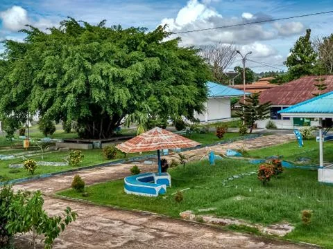 Green trees Stock Photos