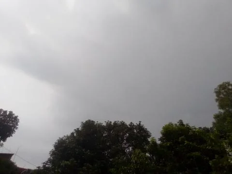 Green Trees Stock Photos