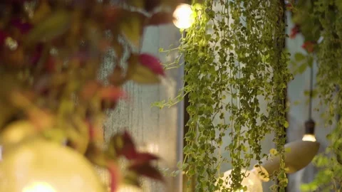 Green trees in the rain Video stock 145865589