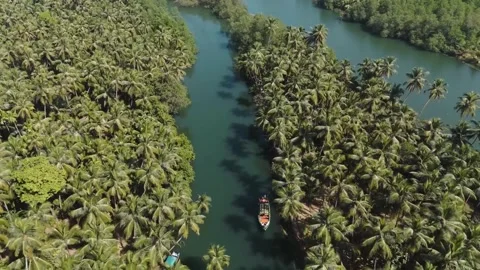 Green Trees in river, boat in river, View from air with drone camera, Stock Footage 287750532