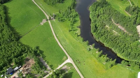Green Trees With River Through Forest Landscape With Blue Skies During Summer Stock Footage 232932617