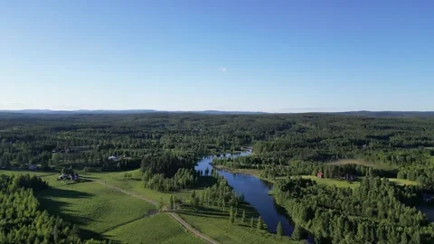 Green Trees With River Through Forest Landscape With Blue Skies During Summer 스톡 동영상 232933227