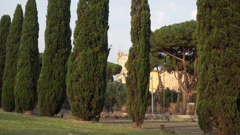 Green trees in Rome, Italy. Camera move from right to left. Unrecognizable Stock Footage 109907807