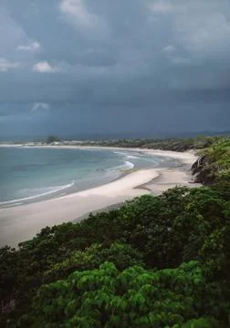 Green trees on seashore under cloudy sky during daytime, selective focus, sel Stock Photos
