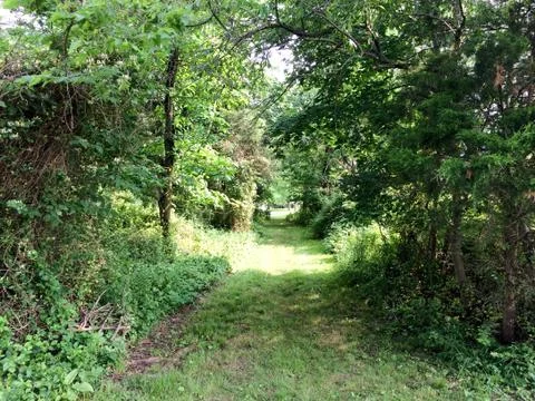 Green trees secret pathway Stock Photos
