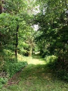 Green trees secret pathway Stock Photos