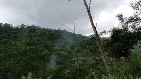 Green trees on the side of the road recorded from the window of a moving car-2 Stock Footage 278962343