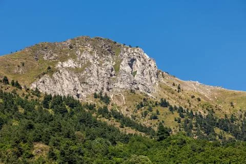 Green trees on slopes of a mountain. Stock Photos