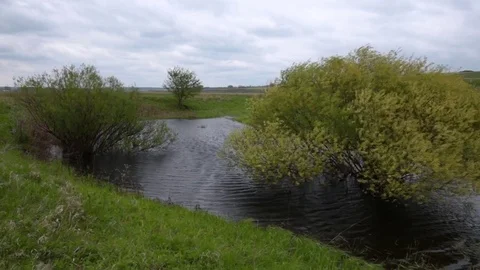 Green trees in the spring when the weather is cloudy at the lake. Stock Footage 72705693